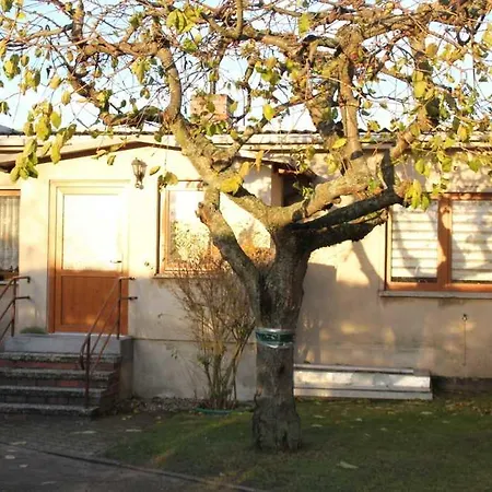 Ferienwohnung Blunck 3 Koserow